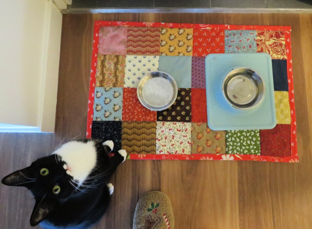 MIlly waiting to use her mat